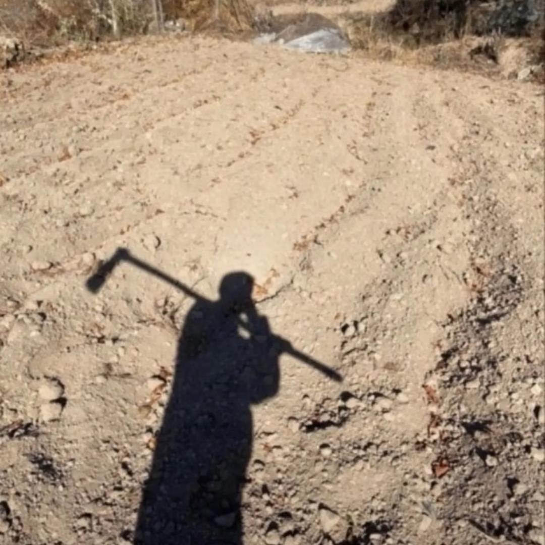 宗皿爱打高尔夫（有关必回）