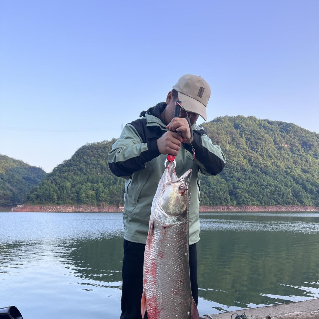 兴乡记供应链