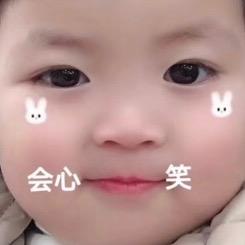 白屁灰灰