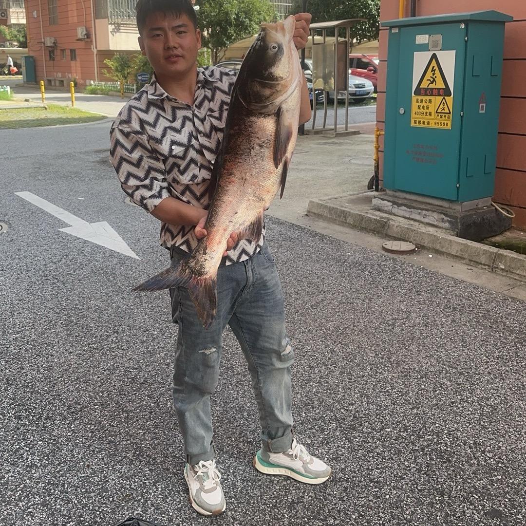 纵横元哥
