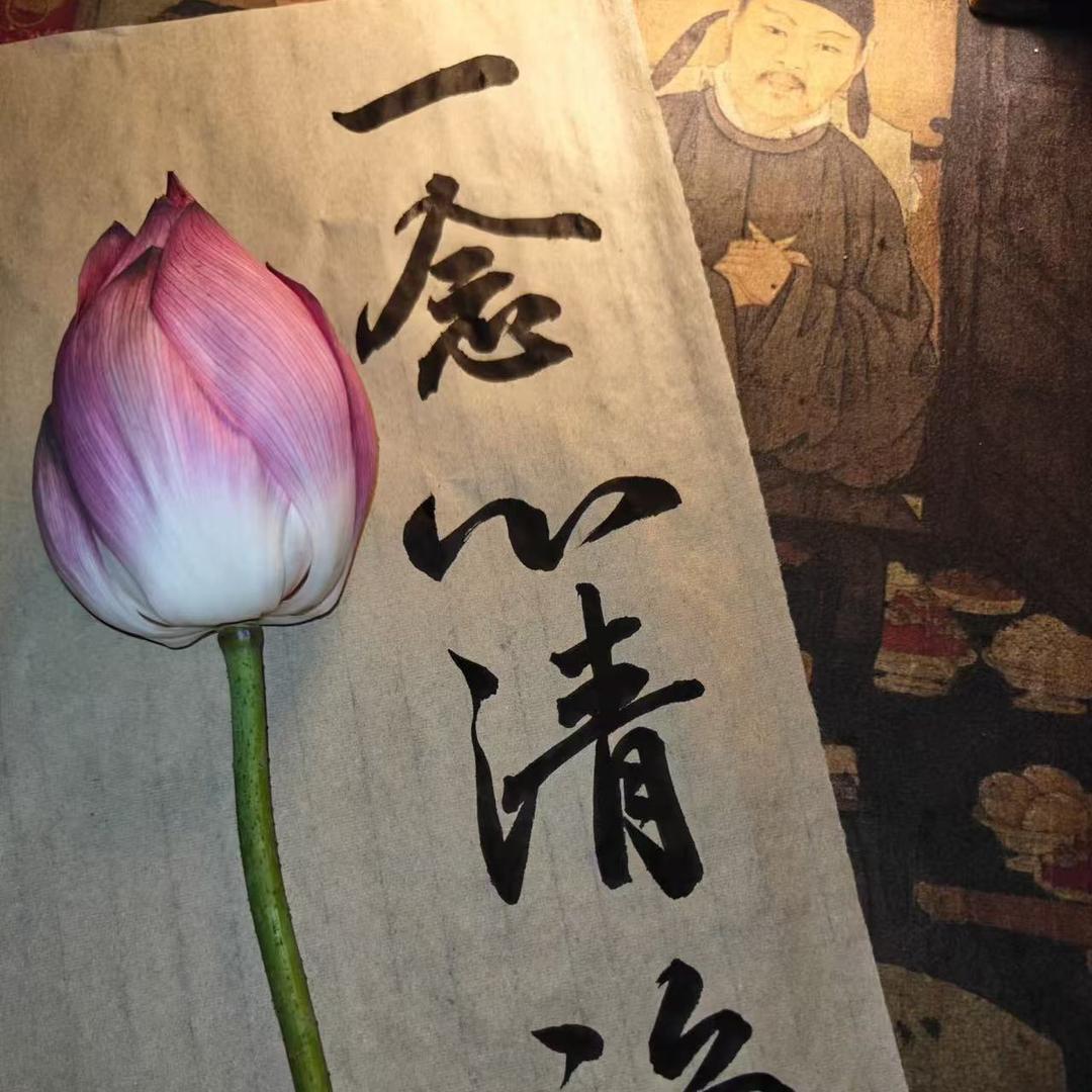 如善