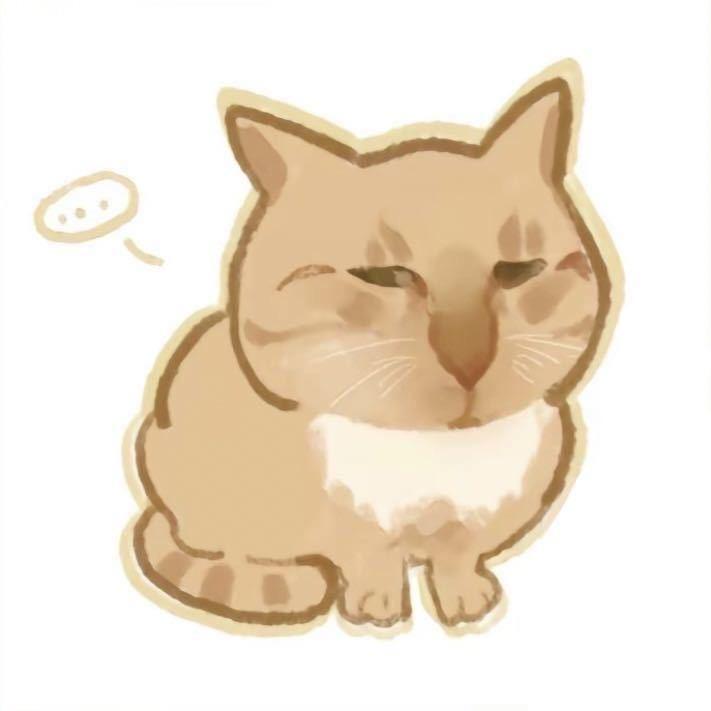 蛋挞挞挞