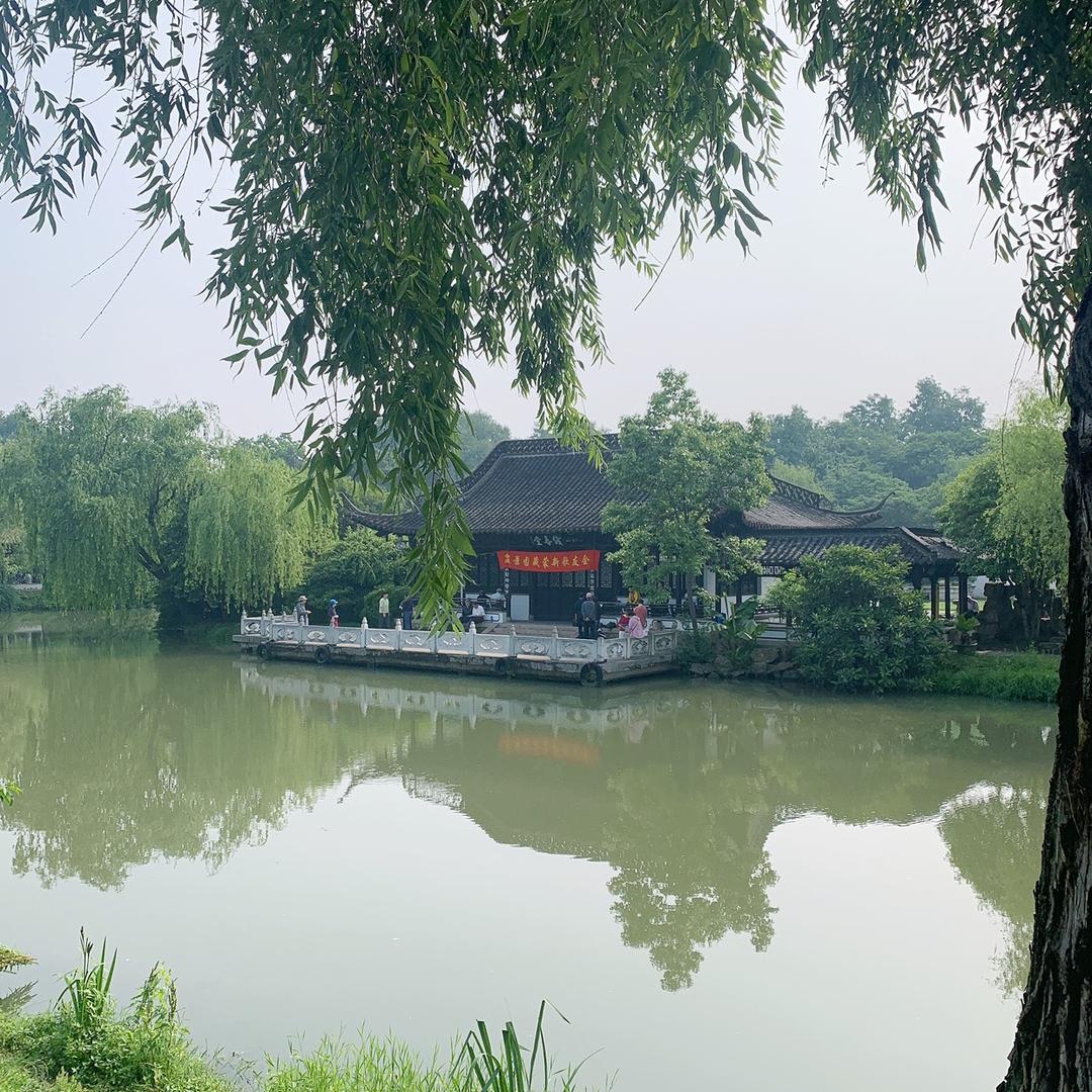 子非鱼🐟