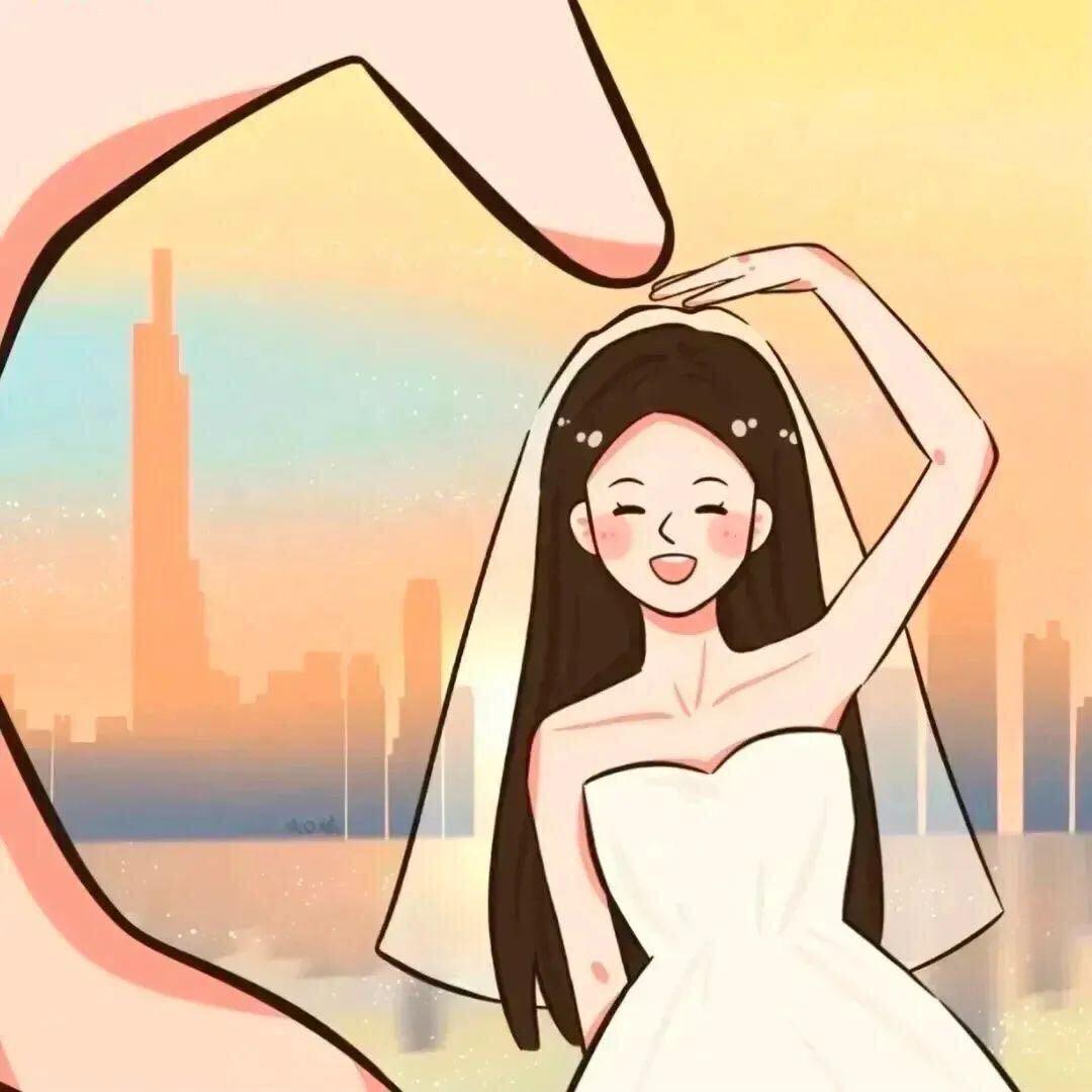 想养一只猫（二月）🐱