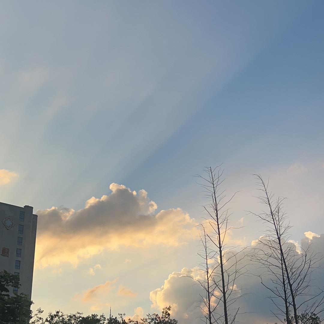 我们叁