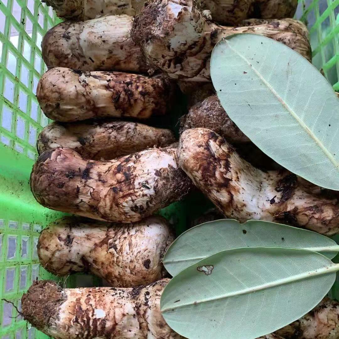 丽江农惠