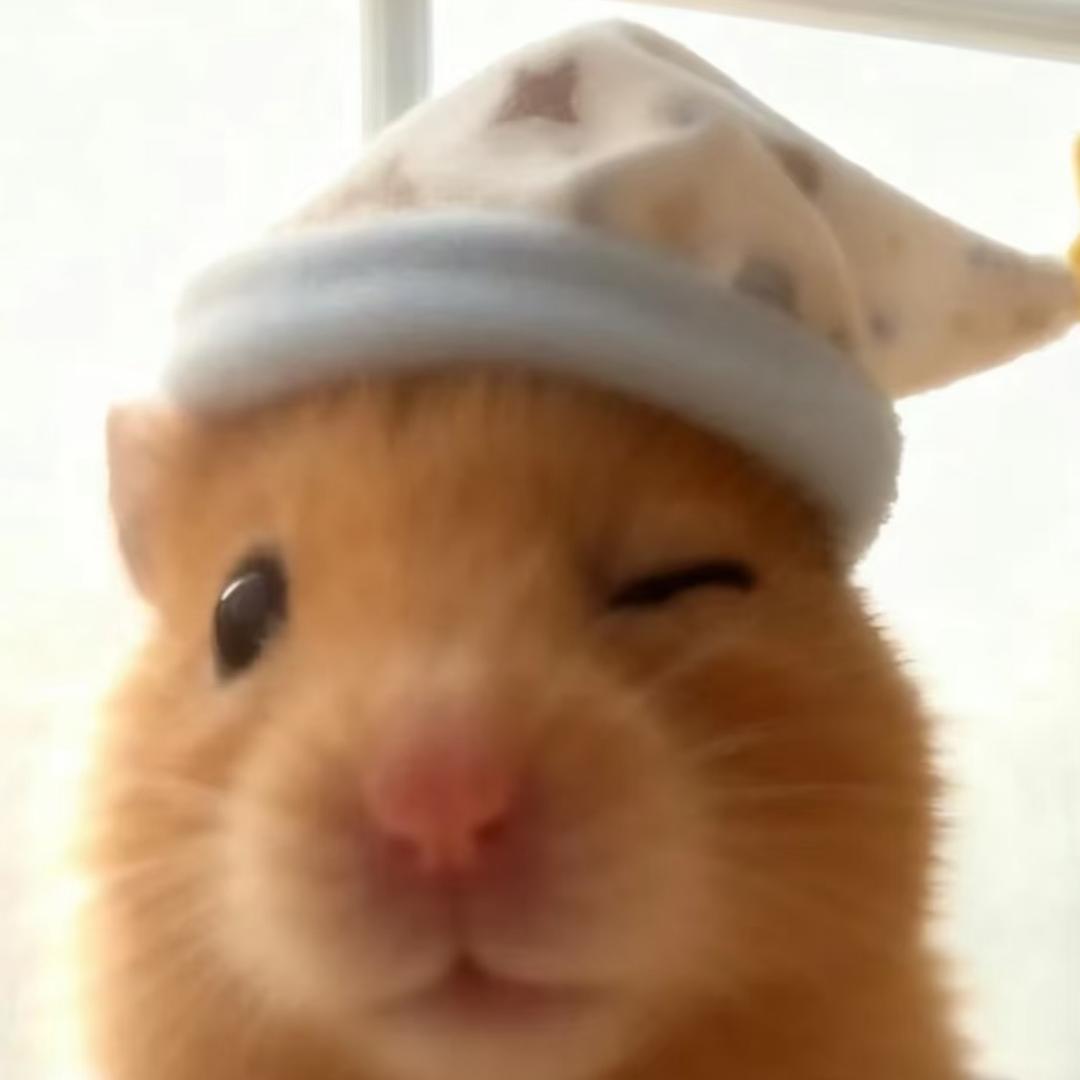 我不吃了