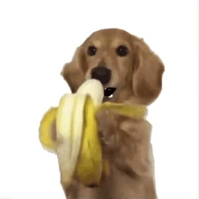 钥不钥一起吃饭