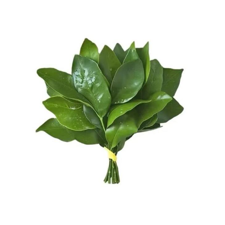 谢查理