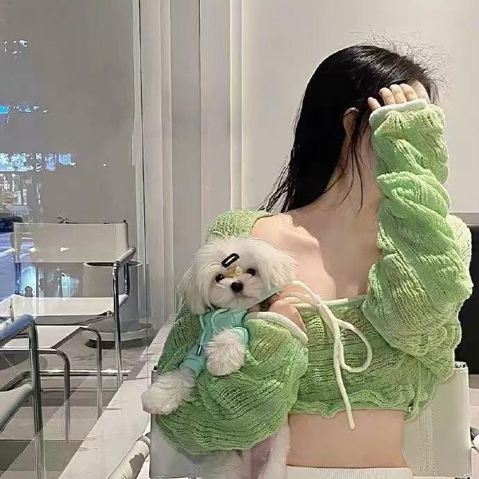 猫猫