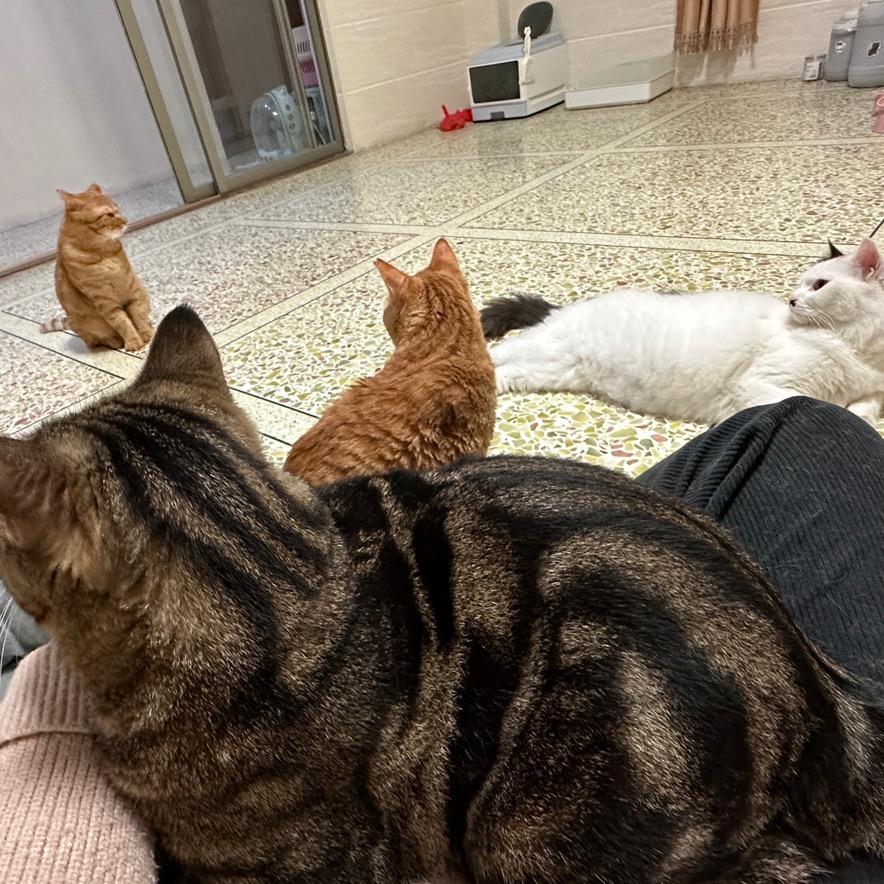 瓜家崽子呀🍉🍈🎃🧙