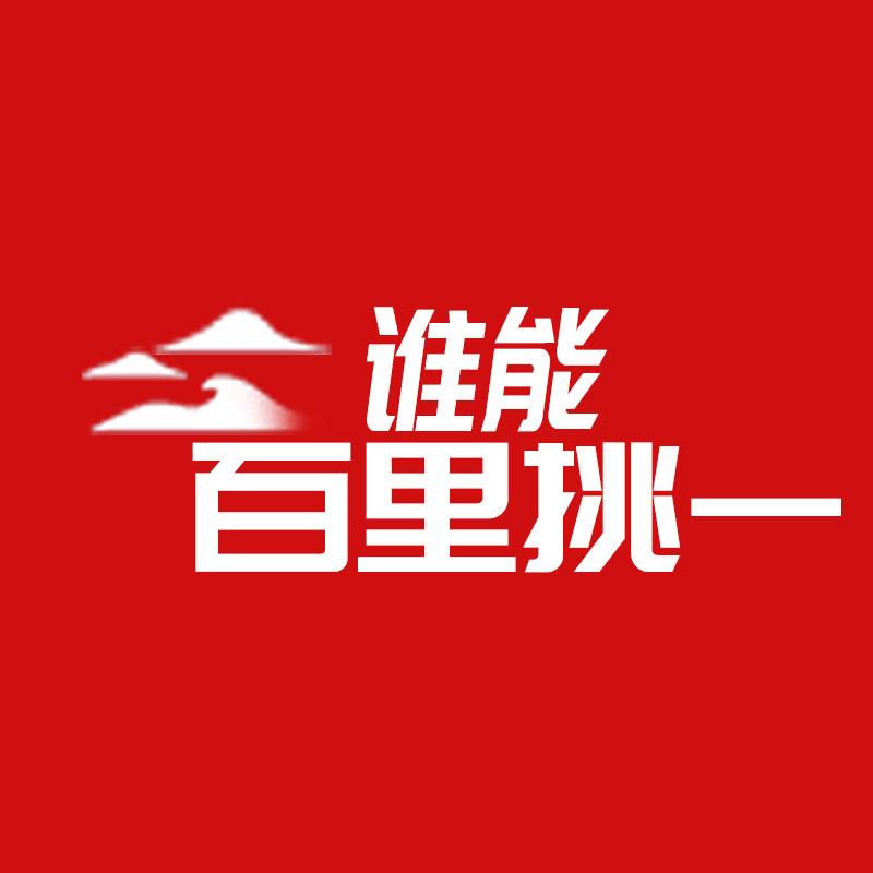 金牌主角