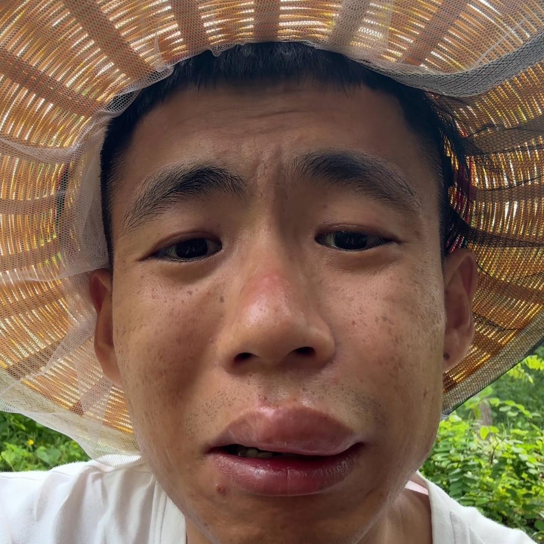 东北小孙蜂蜜