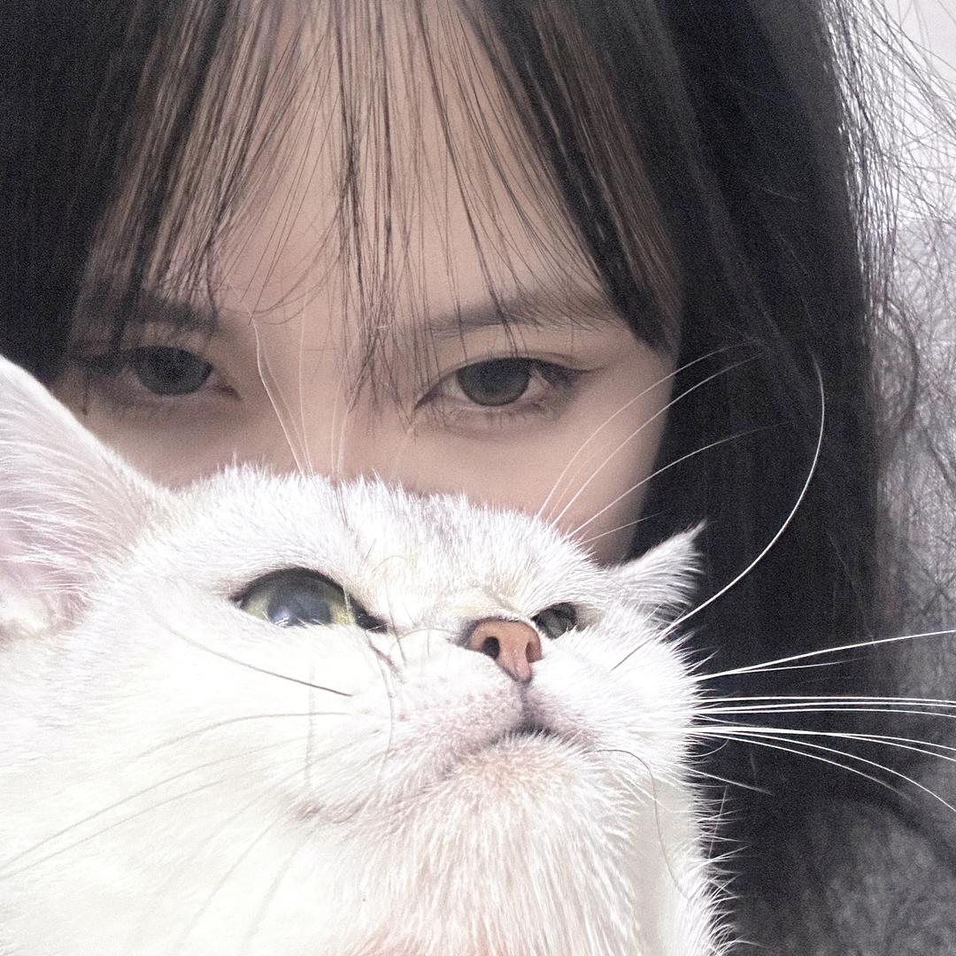 不吃蛋黄