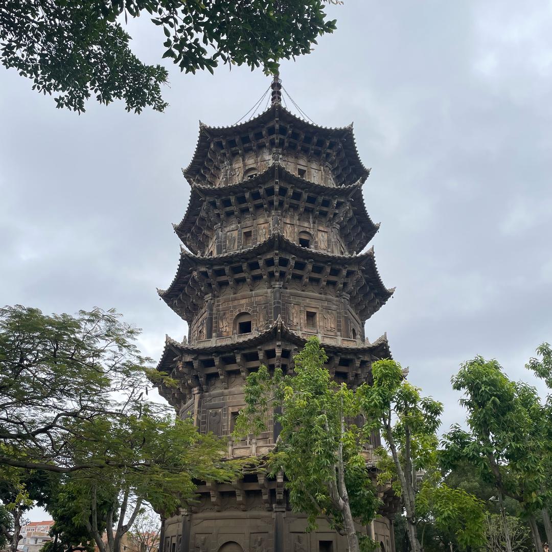 动植物高温质变结合工程师