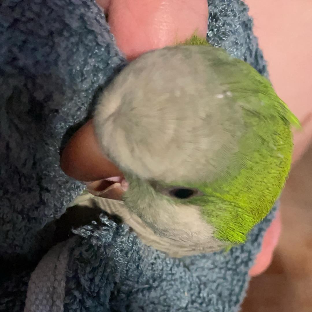 余乐天