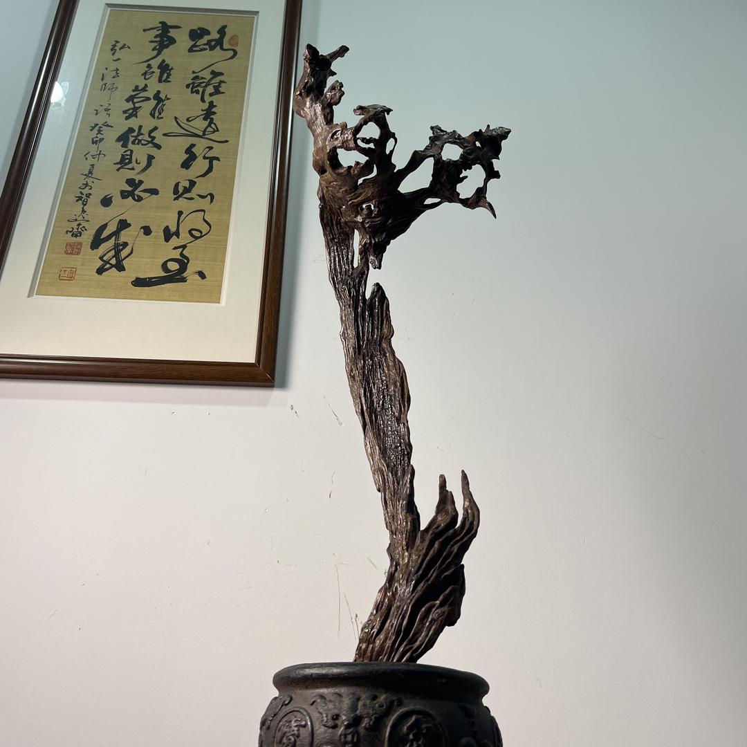 沐风天然根艺