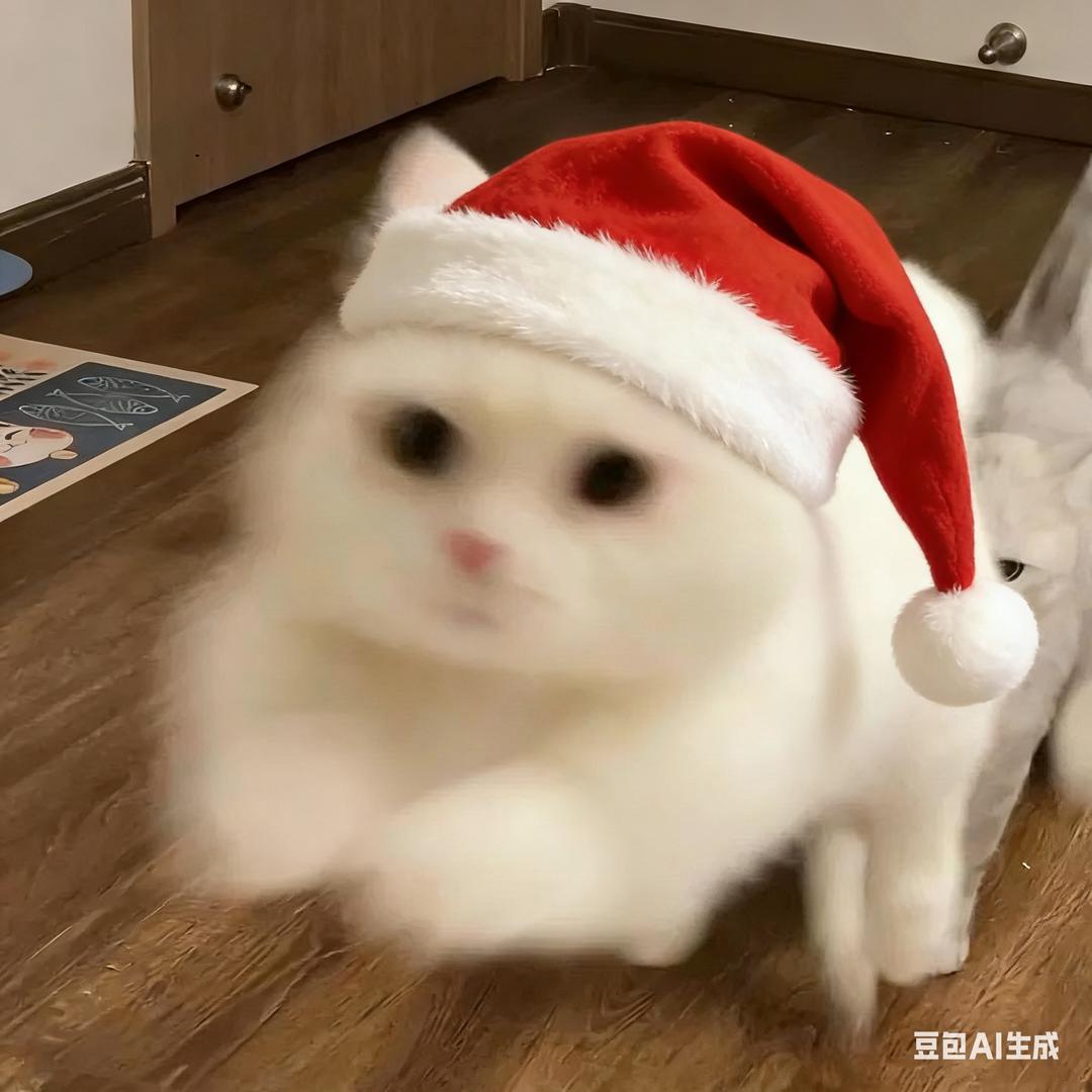 小韩