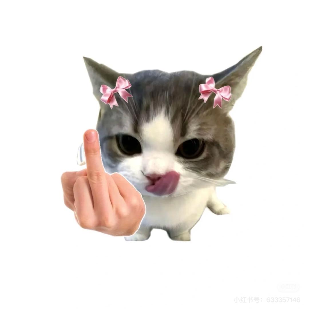 麦兜兜🎀