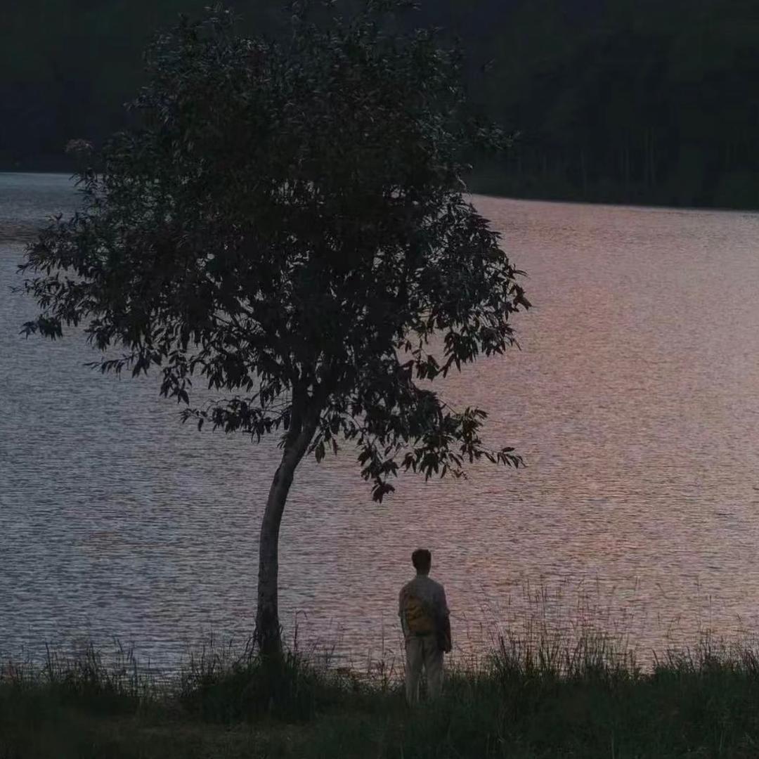 XXX🍃