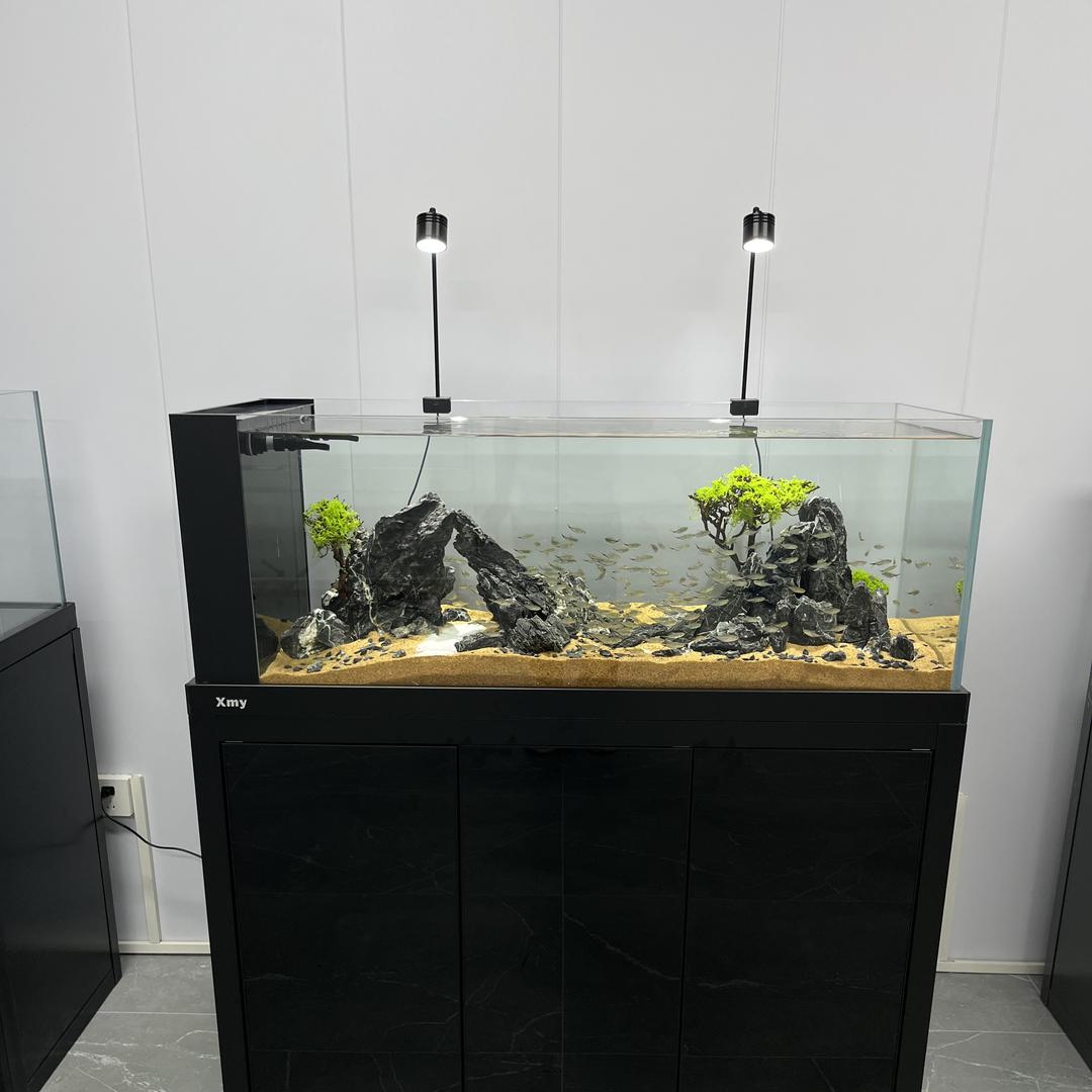 逸云水族工厂店