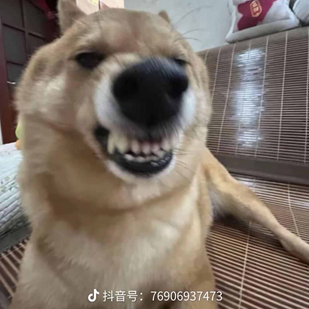 🌈🌈🌈蹲手机