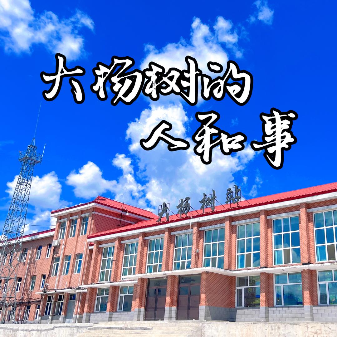大杨树的人和事