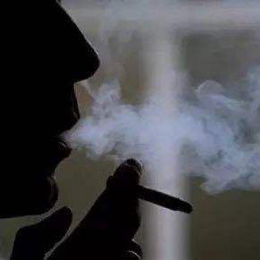 🚬嘚蓶檤