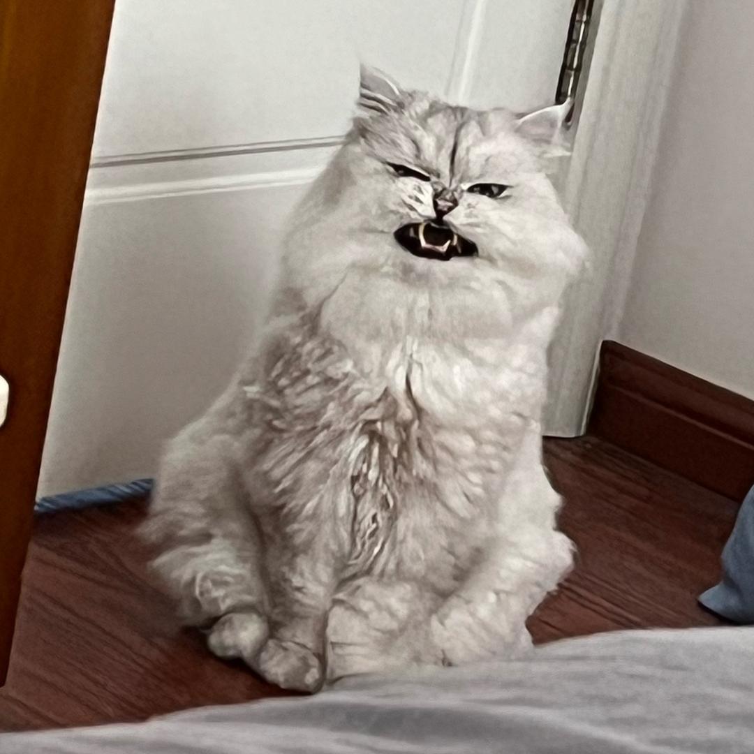 咖啡甜心糖豆人