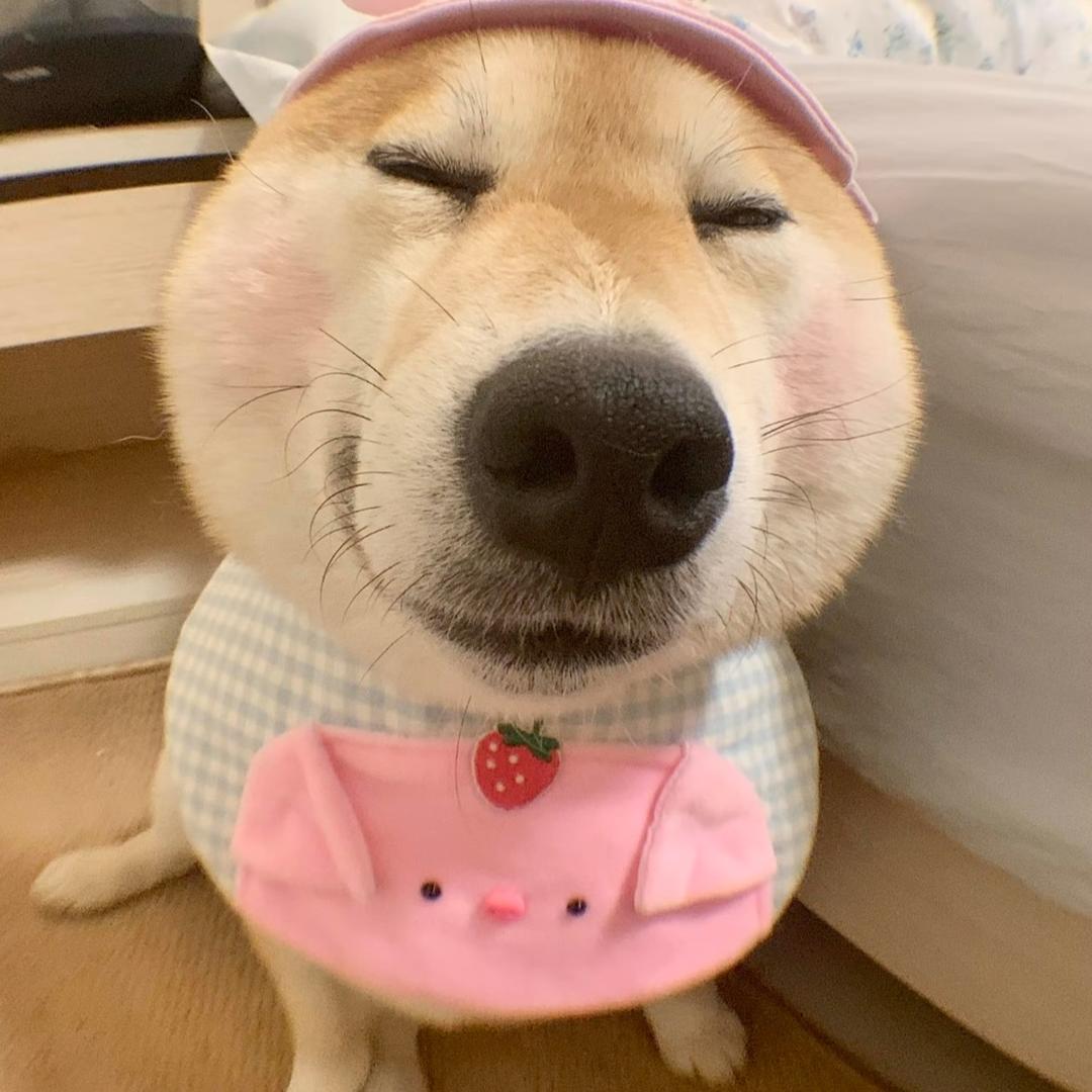 林妹妹