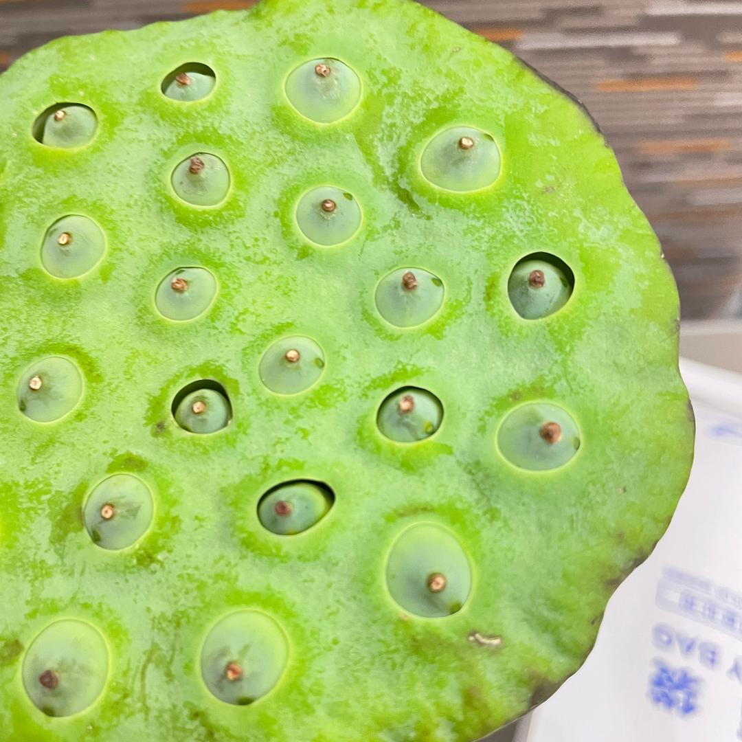 重生主播宋琰头像