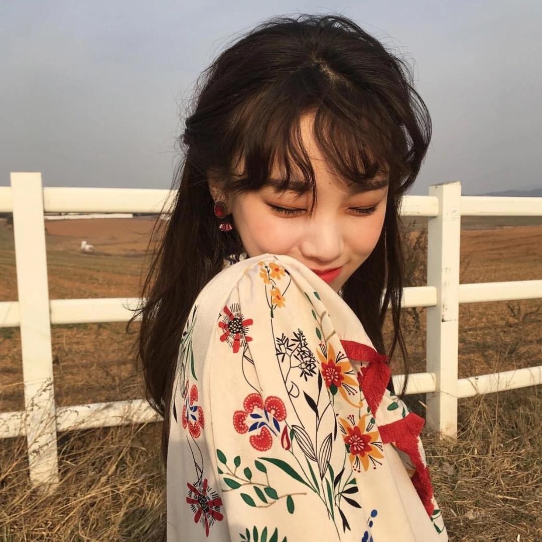 董十七☀️