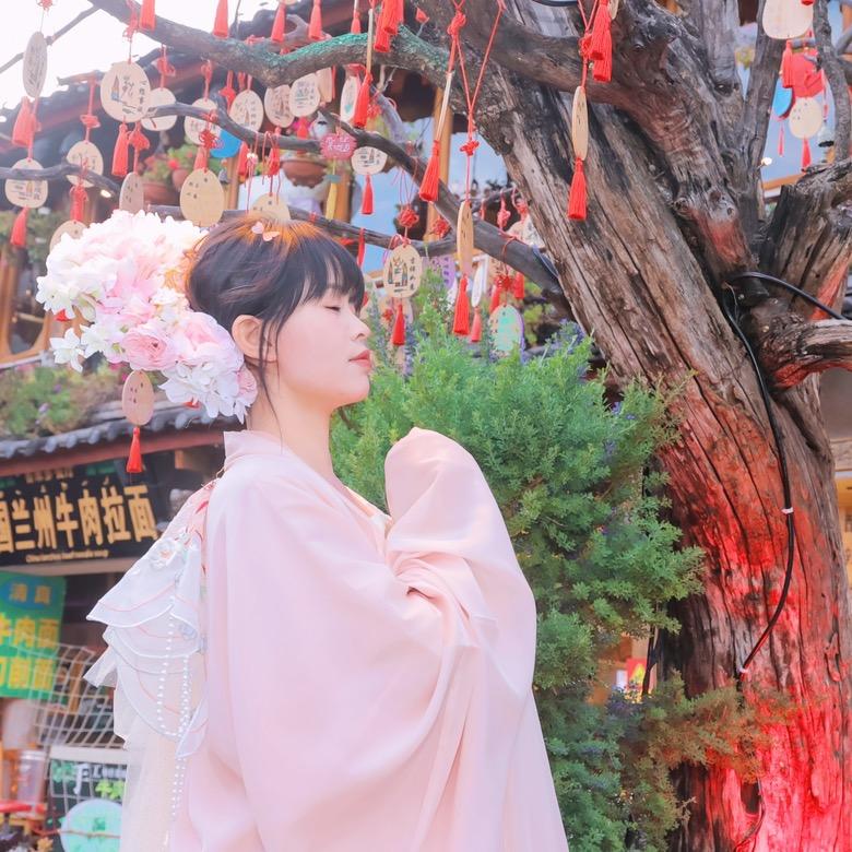 暴躁的小楠