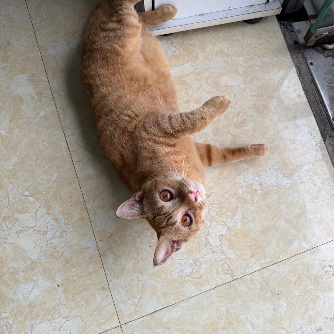 林林林林林林….啊！