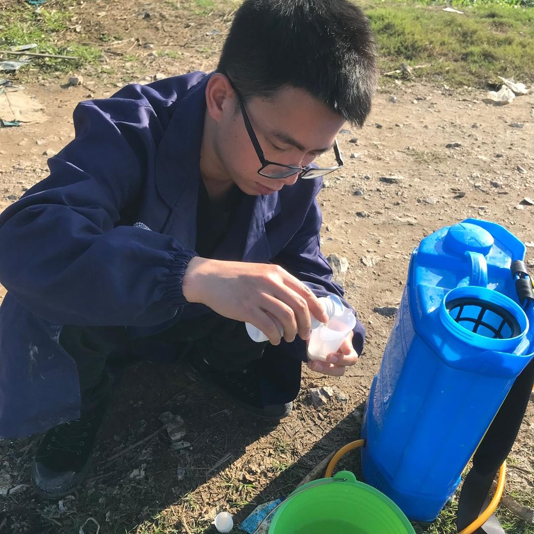 除草认草