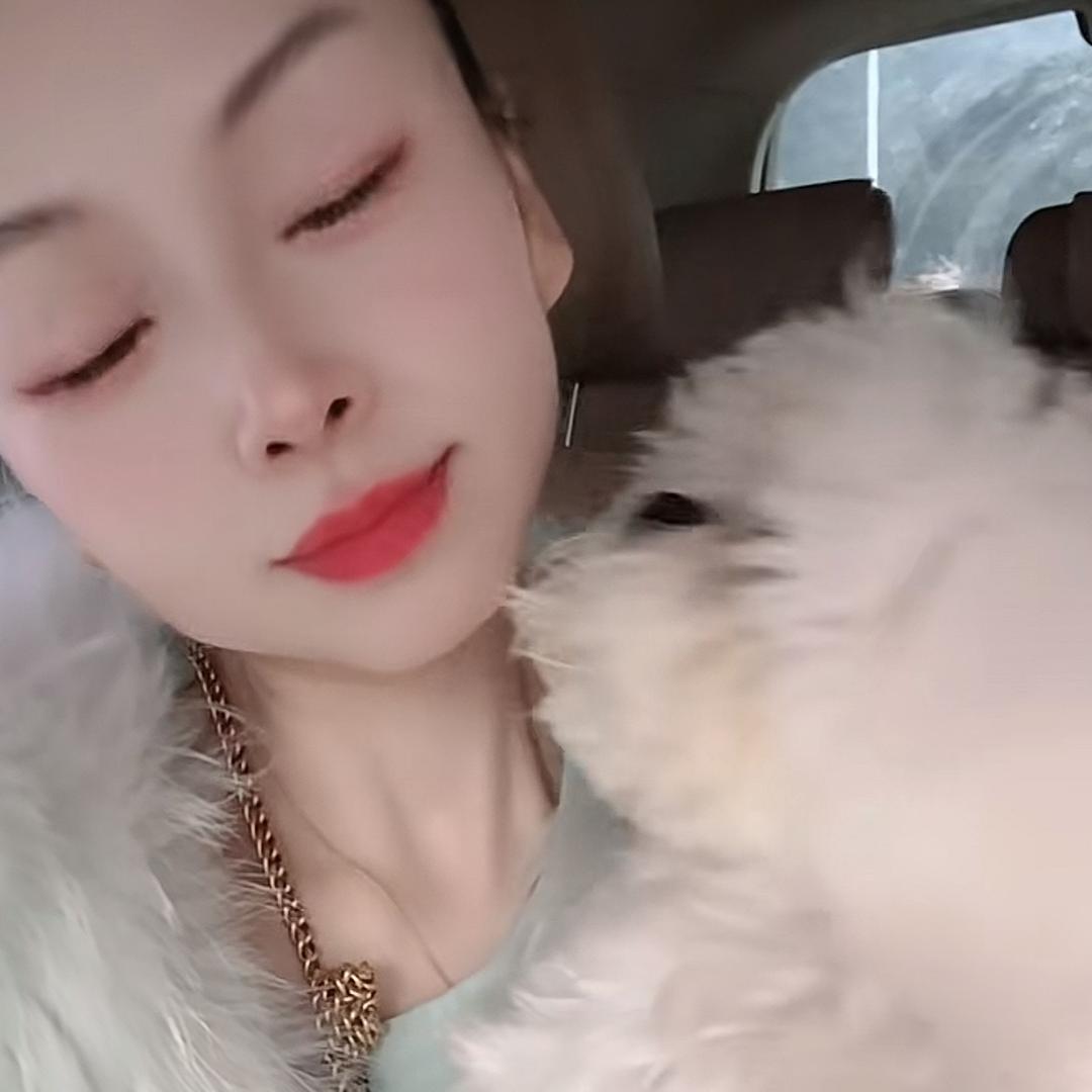 潼潼是只马尔泰