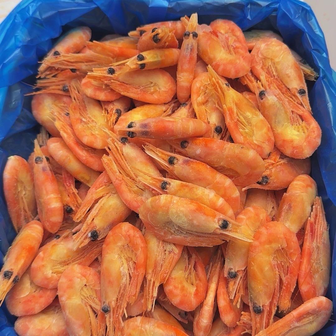 明天会更好