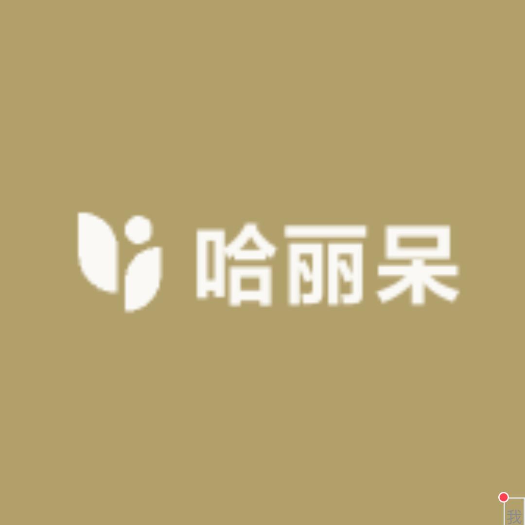 哈丽呆