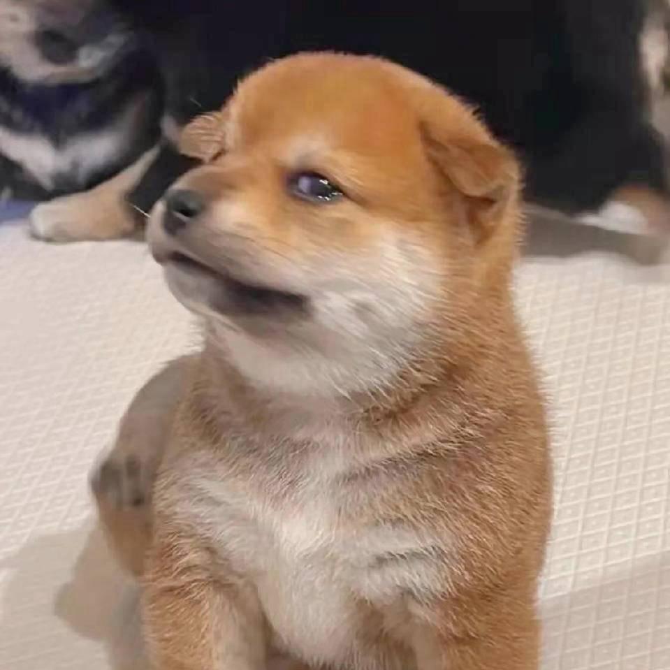 青青
