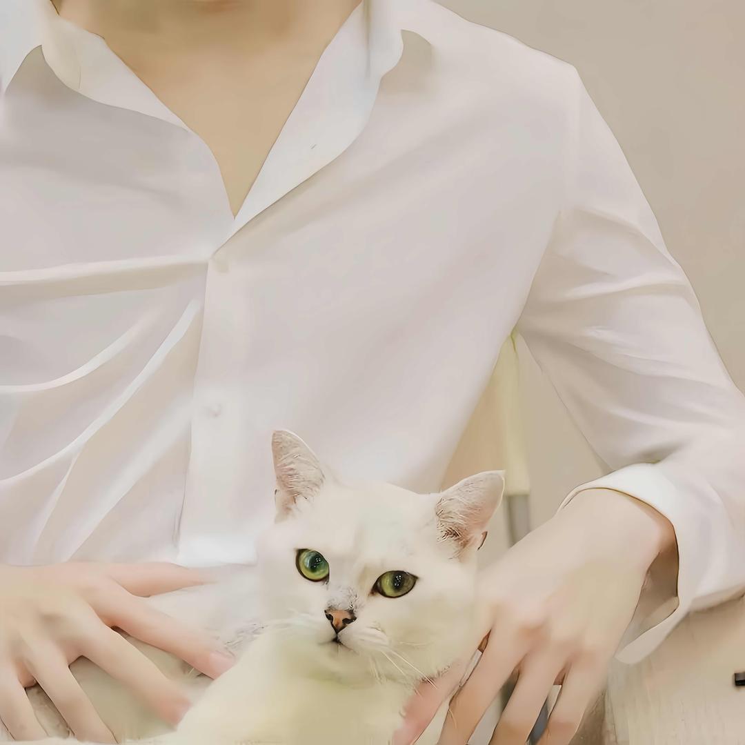 ꧔ꦿ᭄全剧终꧔ꦿ᭄