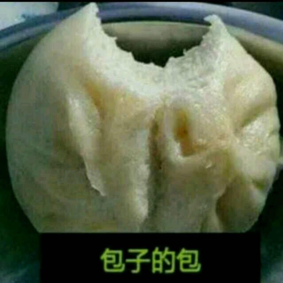 兽医包子哥