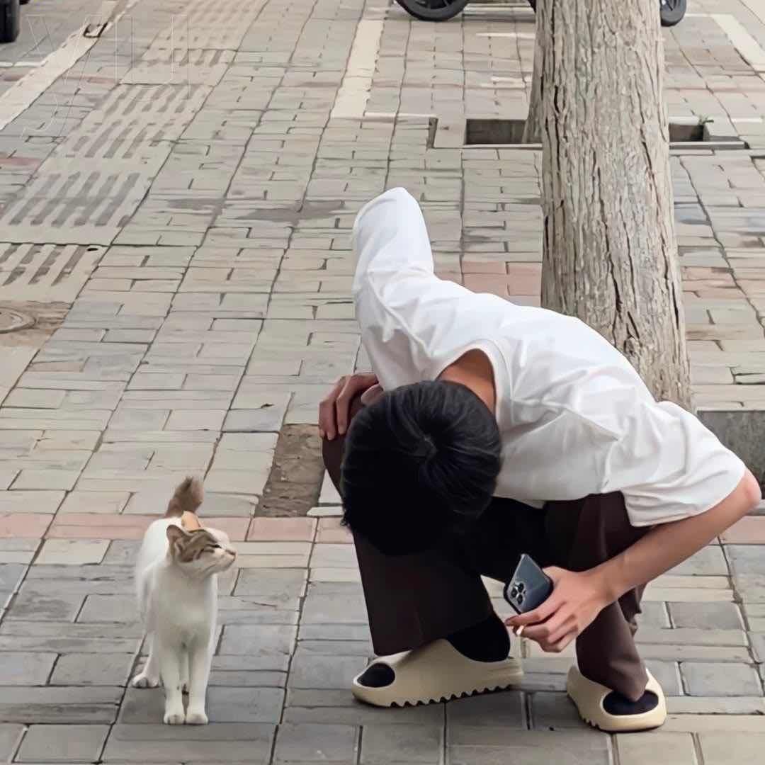 月色