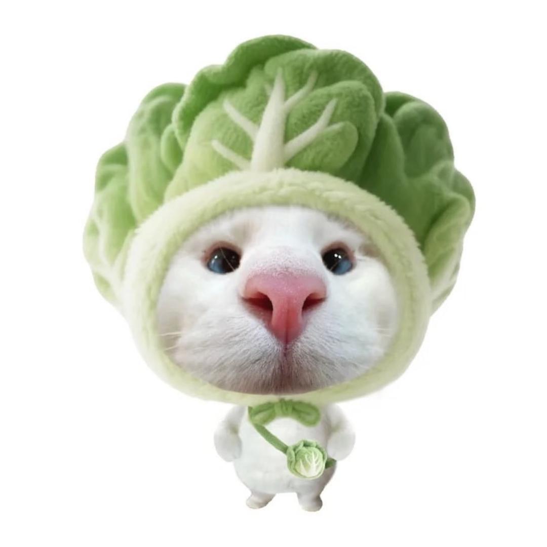 辣白菜
