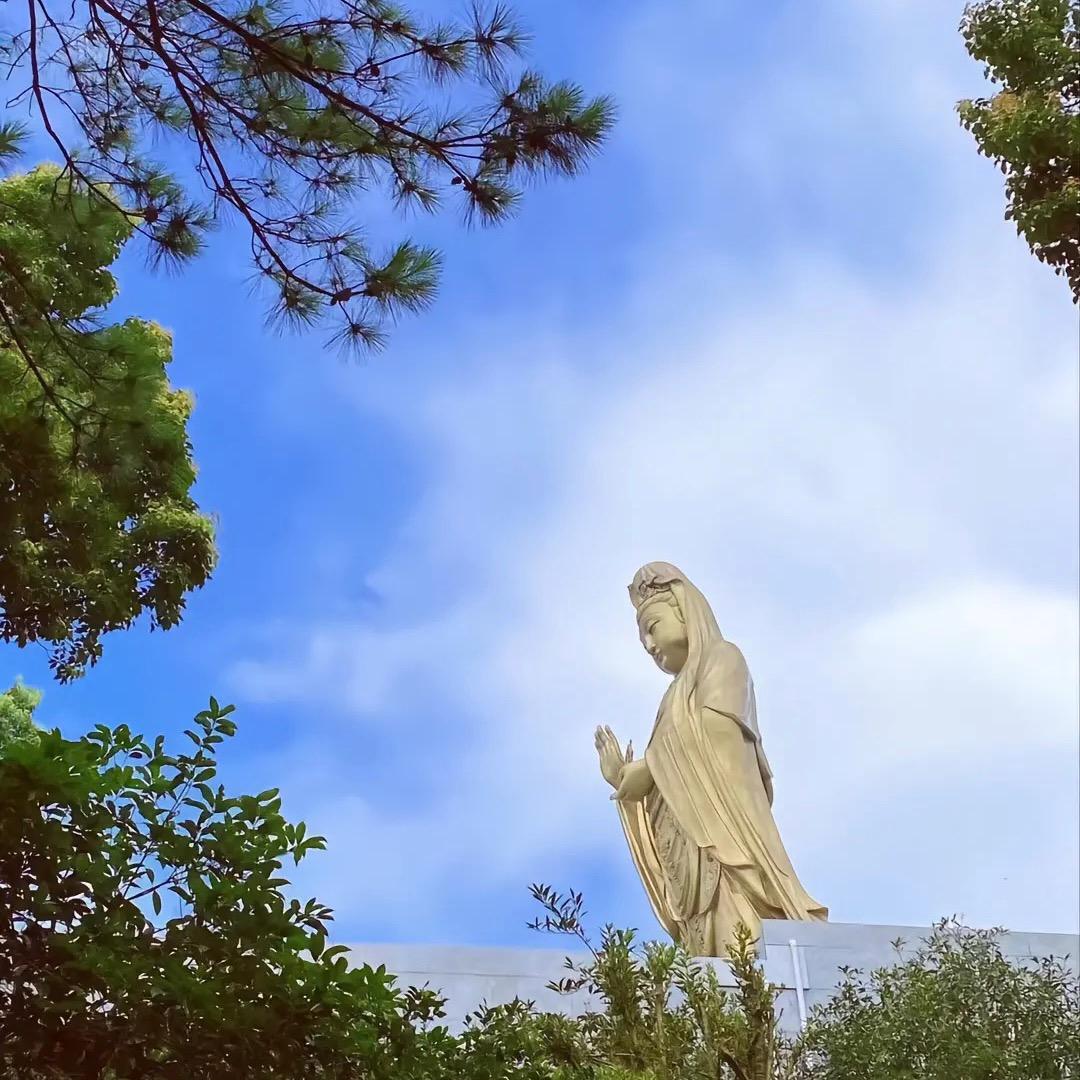 娑婆过客