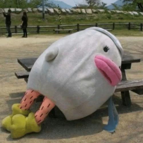 阿七的杨桃呀🍑