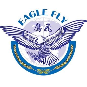 鹰飞海外公司注册