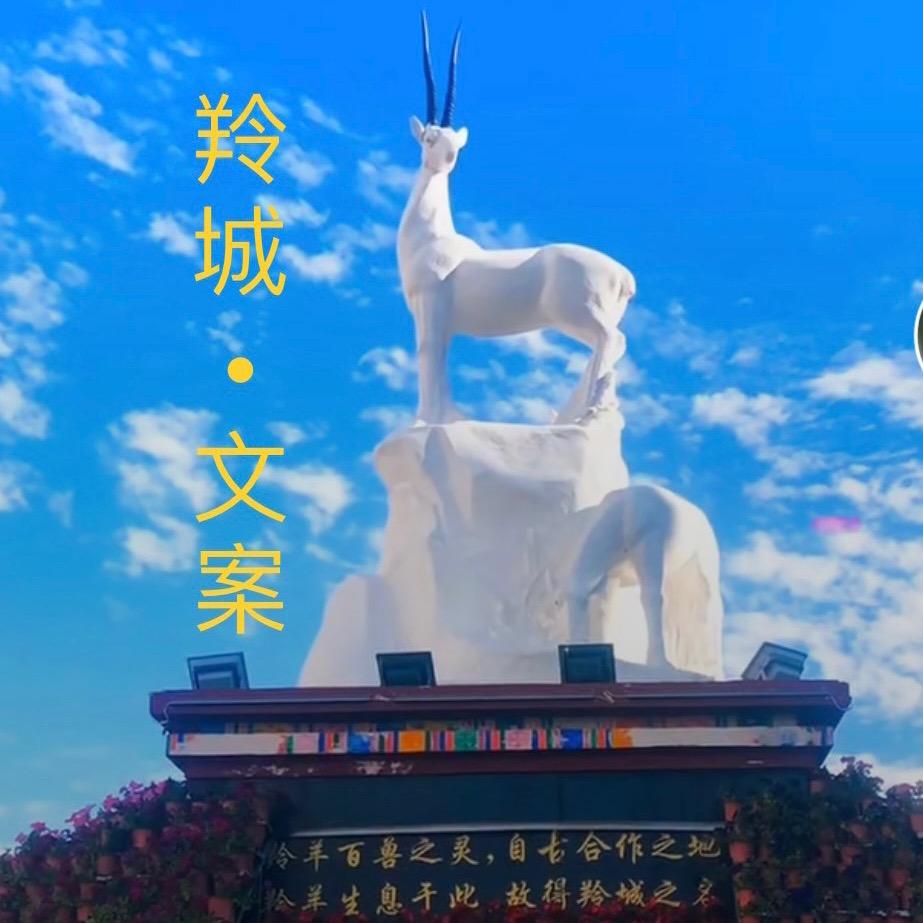 羚城•文案