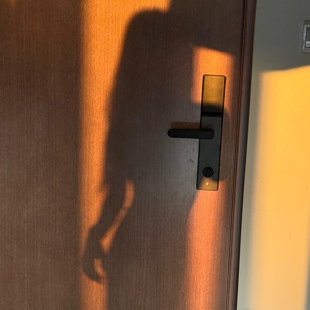 @是小韦韦呀