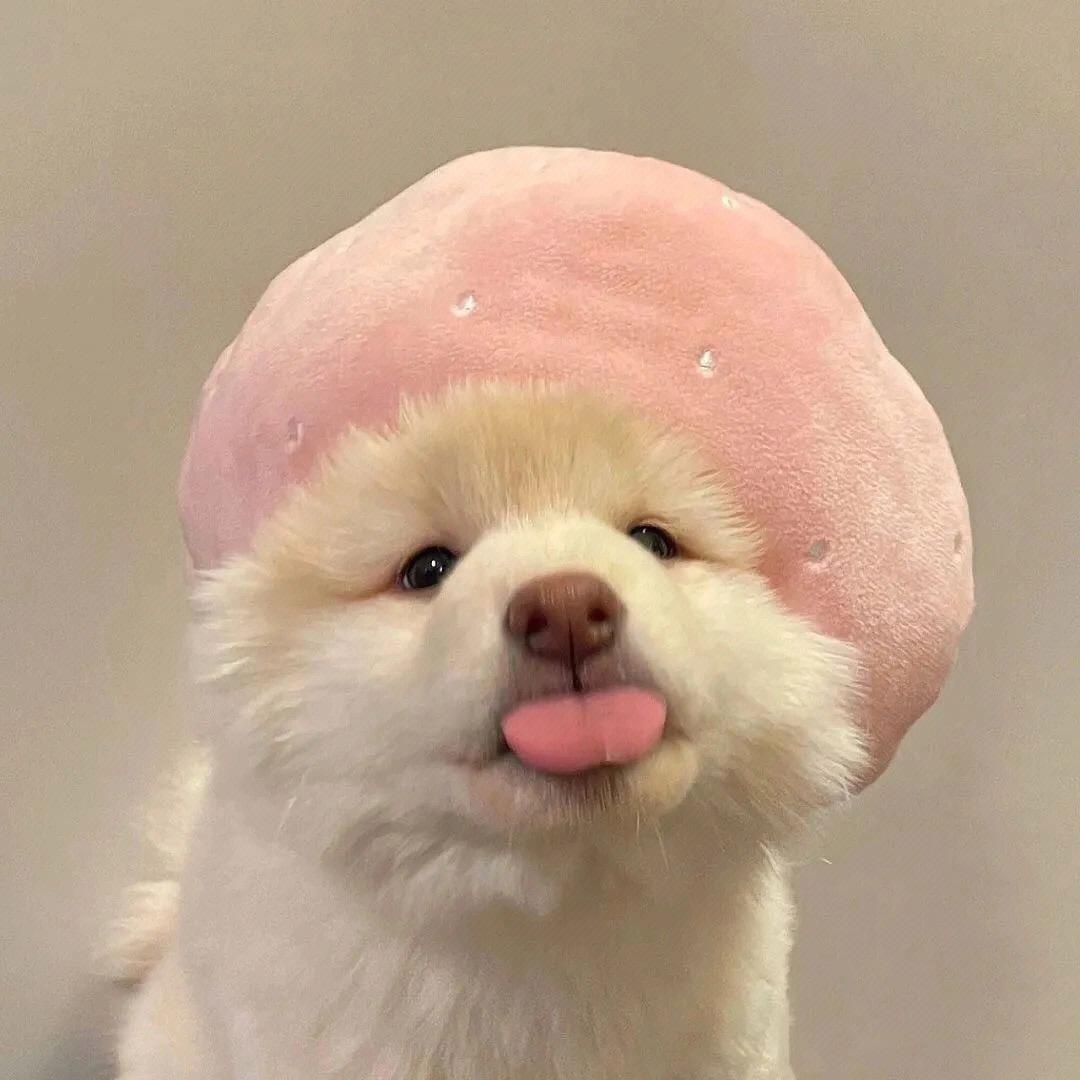 一场百货不能掉队哦