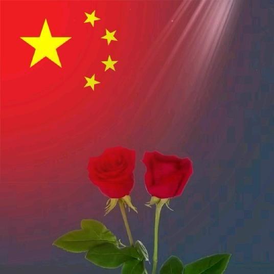 抖火了不动